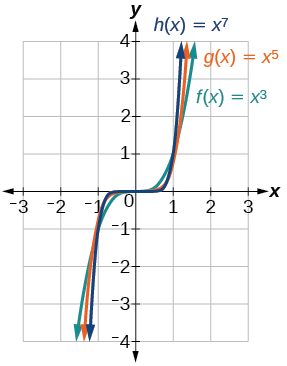 Graphs of polynomials with odd degrees