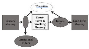 in a perception research lab you are asked