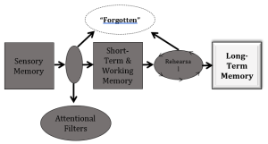 memory hypothesis