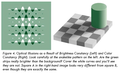 Brightness Constancy Illusion